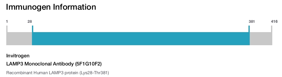 LAMP3 Monoclonal Antibody (5F1G10F2)