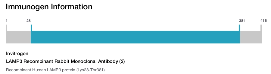 LAMP3 Recombinant Rabbit Monoclonal Antibody (2)