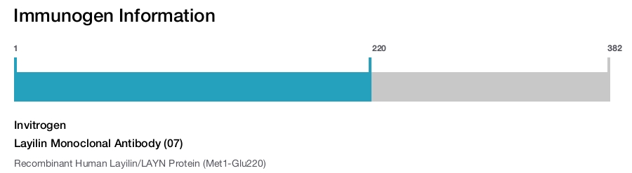 Layilin Monoclonal Antibody (07)