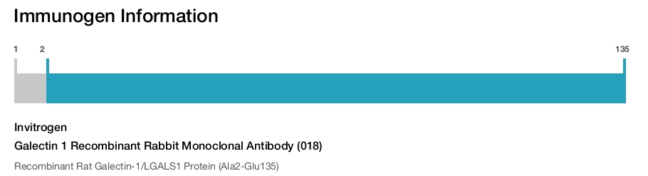 Galectin 1 Recombinant Rabbit Monoclonal Antibody (018)