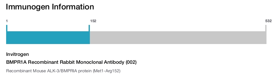 BMPR1A Recombinant Rabbit Monoclonal Antibody (002)