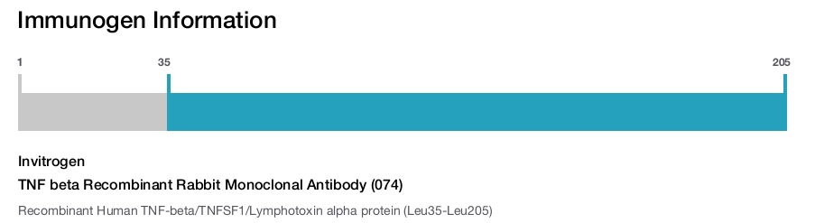 TNF beta Recombinant Rabbit Monoclonal Antibody (074)