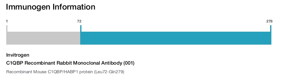 C1QBP Recombinant Rabbit Monoclonal Antibody (001)
