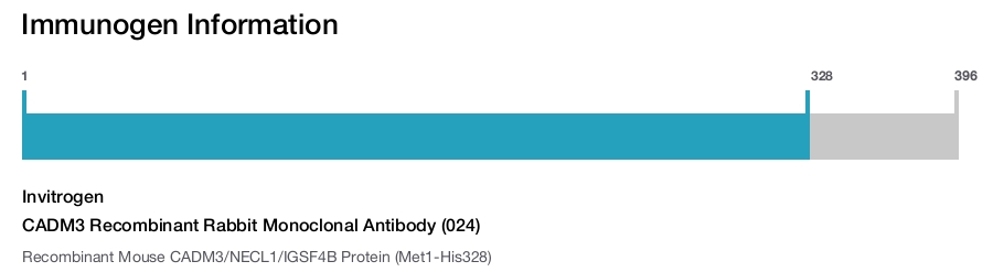 CADM3 Recombinant Rabbit Monoclonal Antibody (024)