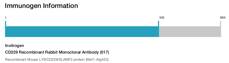 CD229 Recombinant Rabbit Monoclonal Antibody (017)