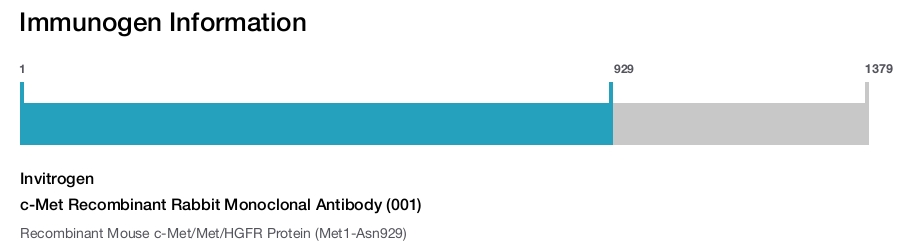 c-Met Recombinant Rabbit Monoclonal Antibody (001)