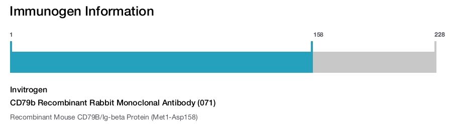 CD79b Recombinant Rabbit Monoclonal Antibody (071)