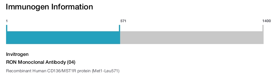 RON Monoclonal Antibody (04)