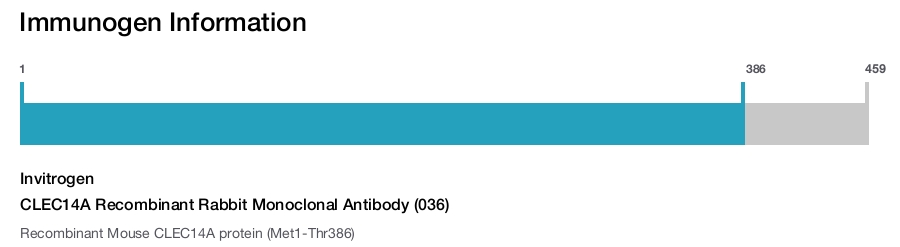 CLEC14A Recombinant Rabbit Monoclonal Antibody (036)