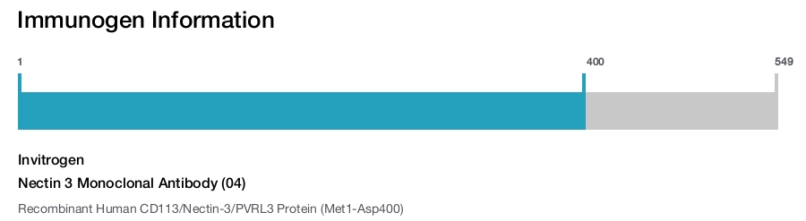 Nectin 3 Monoclonal Antibody (04)