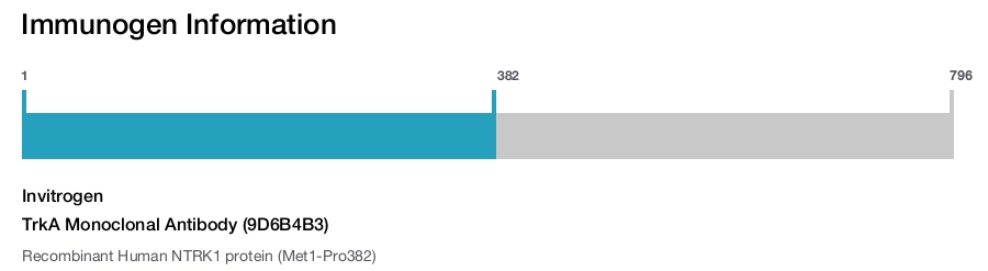 TrkA Monoclonal Antibody (9D6B4B3)