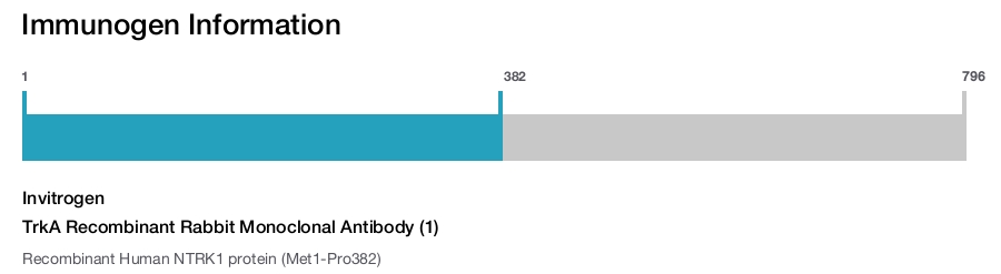 TrkA Recombinant Rabbit Monoclonal Antibody (1)