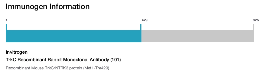 TrkC Recombinant Rabbit Monoclonal Antibody (101)