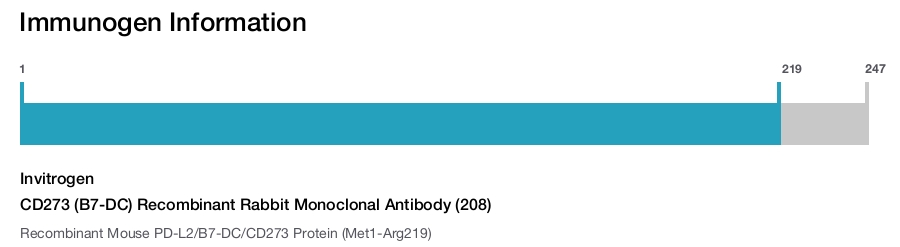 CD273 (B7-DC) Recombinant Rabbit Monoclonal Antibody (208)