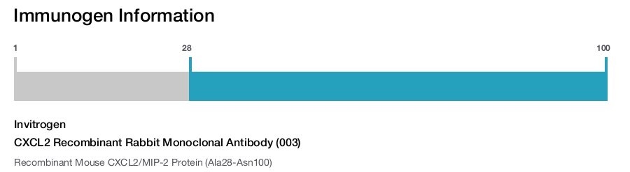 CXCL2 Recombinant Rabbit Monoclonal Antibody (003)
