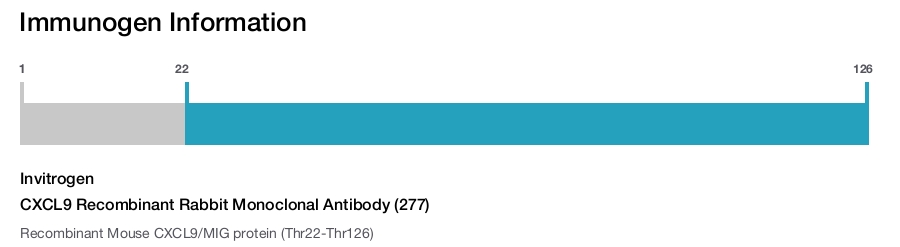 CXCL9 Recombinant Rabbit Monoclonal Antibody (277)