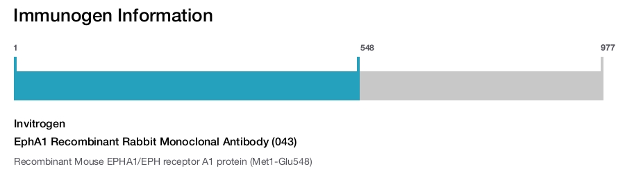 EphA1 Recombinant Rabbit Monoclonal Antibody (043)