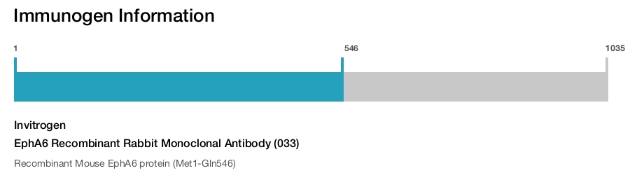 EphA6 Recombinant Rabbit Monoclonal Antibody (033)