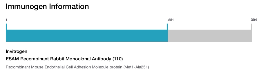 ESAM Recombinant Rabbit Monoclonal Antibody (110)