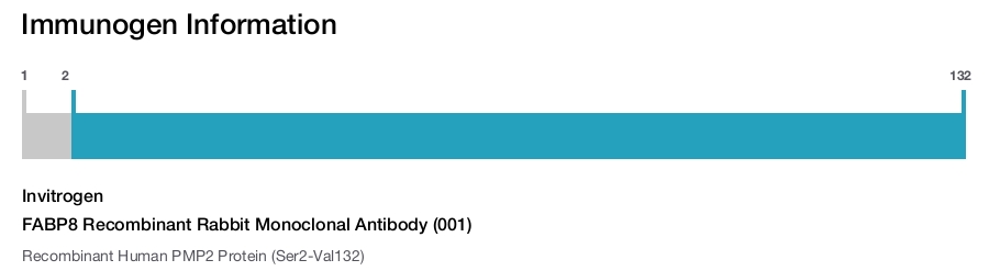 FABP8 Recombinant Rabbit Monoclonal Antibody (001)