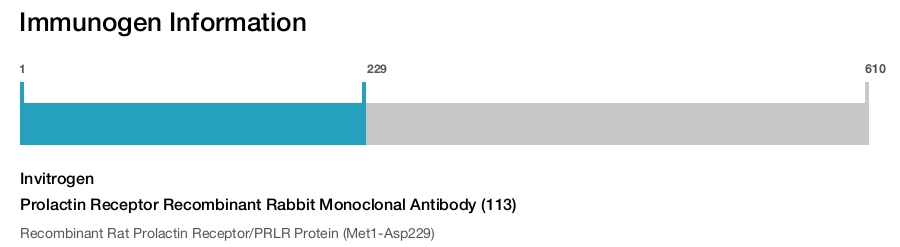 Prolactin Receptor Recombinant Rabbit Monoclonal Antibody (113)