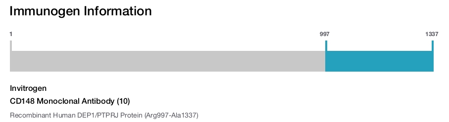 CD148 Monoclonal Antibody (10)