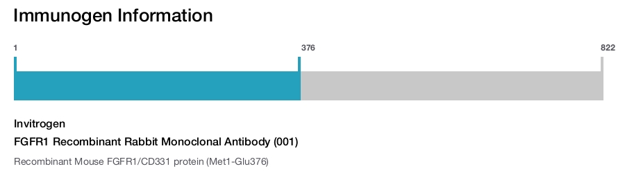 FGFR1 Recombinant Rabbit Monoclonal Antibody (001)