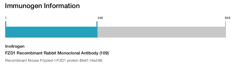 FZD1 Recombinant Rabbit Monoclonal Antibody (109)