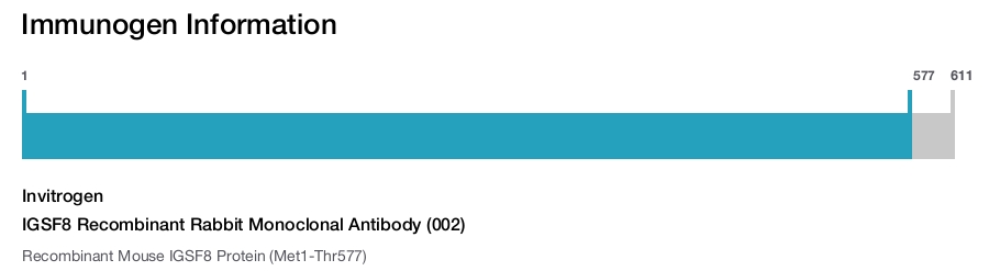IGSF8 Recombinant Rabbit Monoclonal Antibody (002)