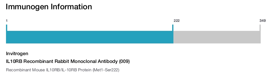 IL10RB Recombinant Rabbit Monoclonal Antibody (009)
