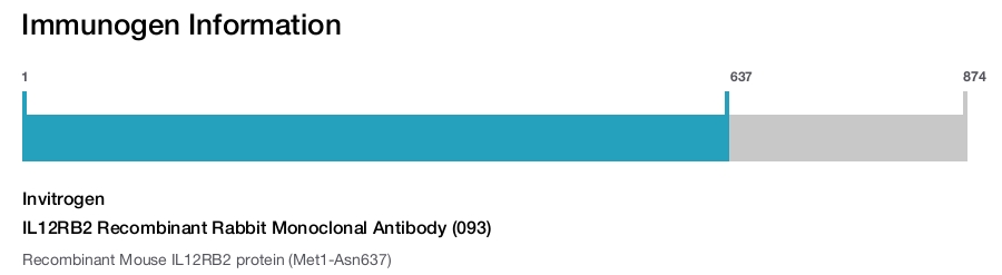 IL12RB2 Recombinant Rabbit Monoclonal Antibody (093)