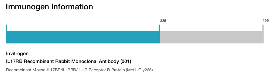 IL17RB Recombinant Rabbit Monoclonal Antibody (001)