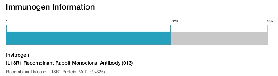 IL18R1 Recombinant Rabbit Monoclonal Antibody (013)