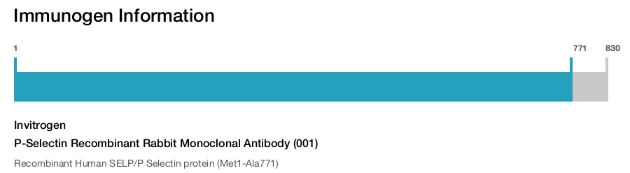 P-Selectin Recombinant Rabbit Monoclonal Antibody (001)