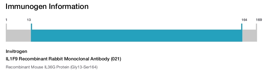 IL1F9 Recombinant Rabbit Monoclonal Antibody (021)