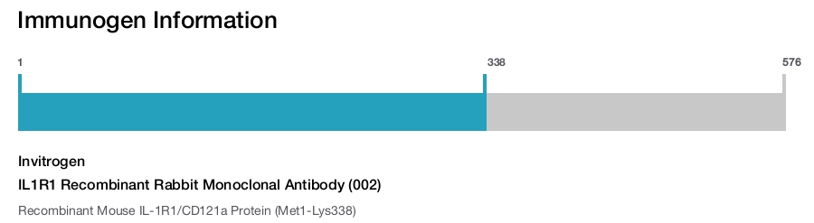 IL1R1 Recombinant Rabbit Monoclonal Antibody (002)