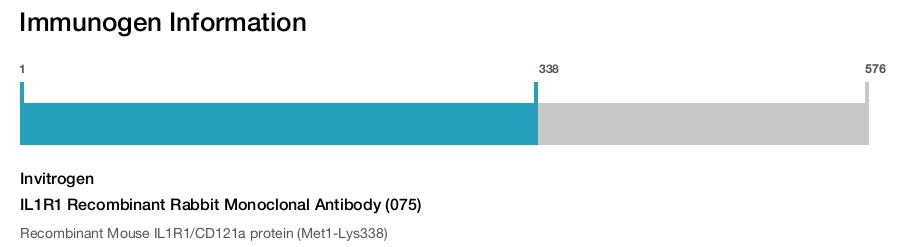 IL1R1 Recombinant Rabbit Monoclonal Antibody (075)