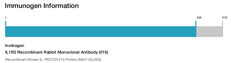 IL1R2 Recombinant Rabbit Monoclonal Antibody (016)