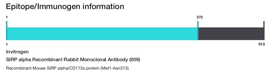 SIRP alpha Recombinant Rabbit Monoclonal Antibody (009)