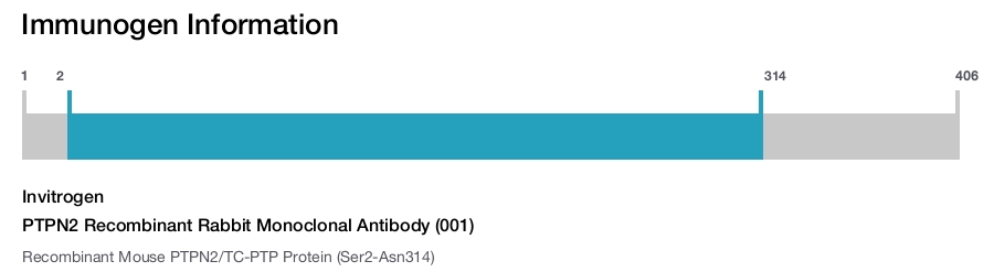 PTPN2 Recombinant Rabbit Monoclonal Antibody (001)