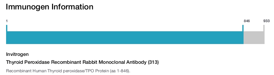 Thyroid Peroxidase Recombinant Rabbit Monoclonal Antibody (313)