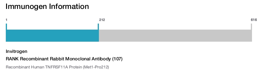 RANK Recombinant Rabbit Monoclonal Antibody (107)
