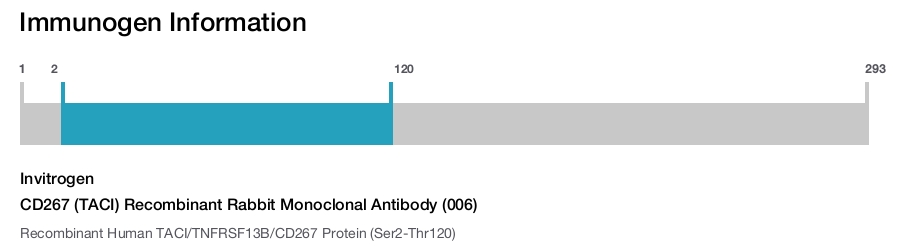 CD267 (TACI) Recombinant Rabbit Monoclonal Antibody (006)