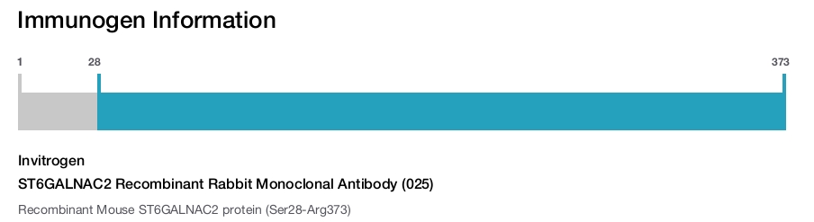 ST6GALNAC2 Recombinant Rabbit Monoclonal Antibody (025)