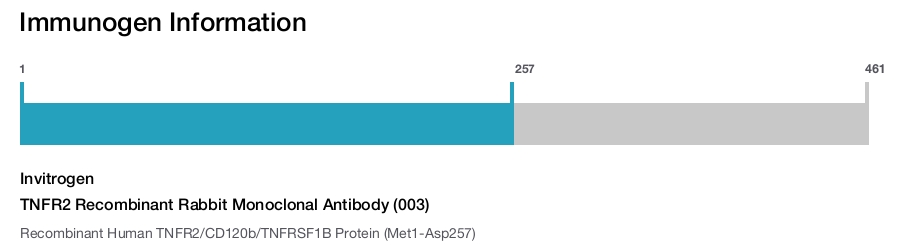 TNFR2 Recombinant Rabbit Monoclonal Antibody (003)