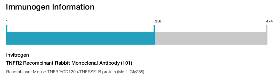 TNFR2 Recombinant Rabbit Monoclonal Antibody (101)