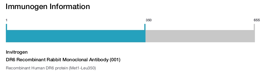 DR6 Recombinant Rabbit Monoclonal Antibody (001)