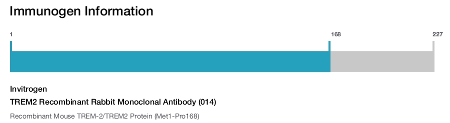 TREM2 Recombinant Rabbit Monoclonal Antibody (014)