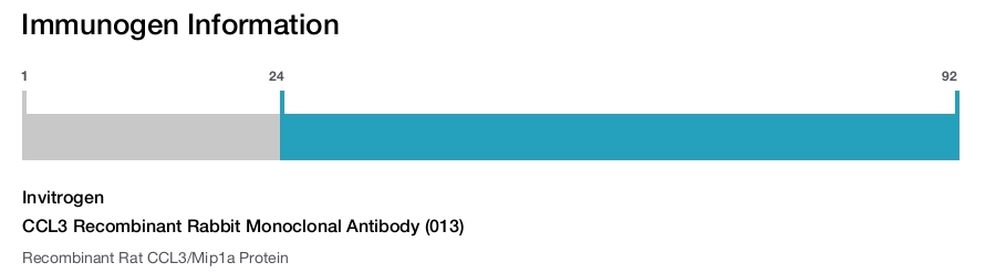 CCL3 Recombinant Rabbit Monoclonal Antibody (013)