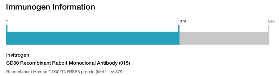 CD30 Recombinant Rabbit Monoclonal Antibody (015)